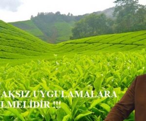 2019 ÇAY SEZONUNDA ÖZEL SEKTÖRÜN HAKSIZ UYGULAMALARINA DUR DENİLMELİDİR