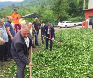 BAŞKANLARDAN HOPA DA ÇAY’A DESTEK