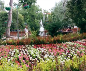 Alper Taşdelen: “Kuğulu Park canımız”