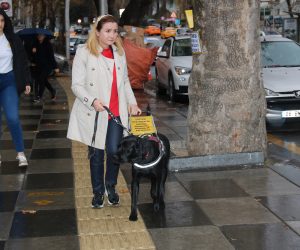 TÜRKİYE’DE 5 REHBER KÖPEK  VAR