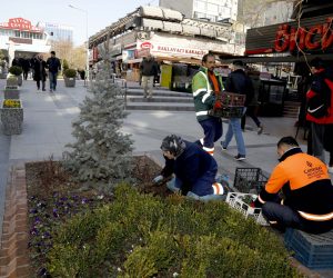 SAKARYA’DA 13 BİN ÇİÇEK AÇTI