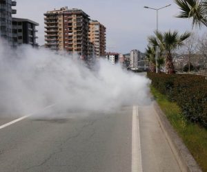 RİZE’DE SİVRİSİNEK VE HAŞEREYLE ‘LARVA’ DÖNEMİNDE MÜCADELE