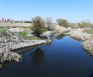 BÜYÜKŞEHİR VEKTÖRLE MÜCADELESİNE HIZ VERDİ…