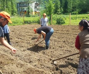 KEMALPAŞA’DA ATA TOHUMLARI TOPRAKLA BULUŞTURULDU