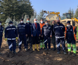 3 bin 500 adet Hopsi cinsi Mavi Ladini Belediyelere bağışladı