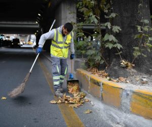 BAŞKENTTE GÜNLÜK 12 KAMYON YAPRAK TOPLANIYOR