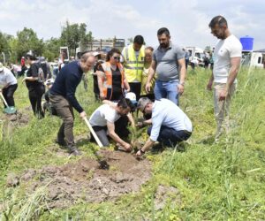 ÇÖLLEŞME VE KURAKLIKLA MÜCADELE İÇİN  BİN FİDAN TOPRAKLA BULUŞTU