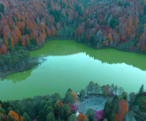 FOTO SAFARİDE ARTVİN’İN DOĞASI ÖLÜMSÜZLEŞTİRİLDİ